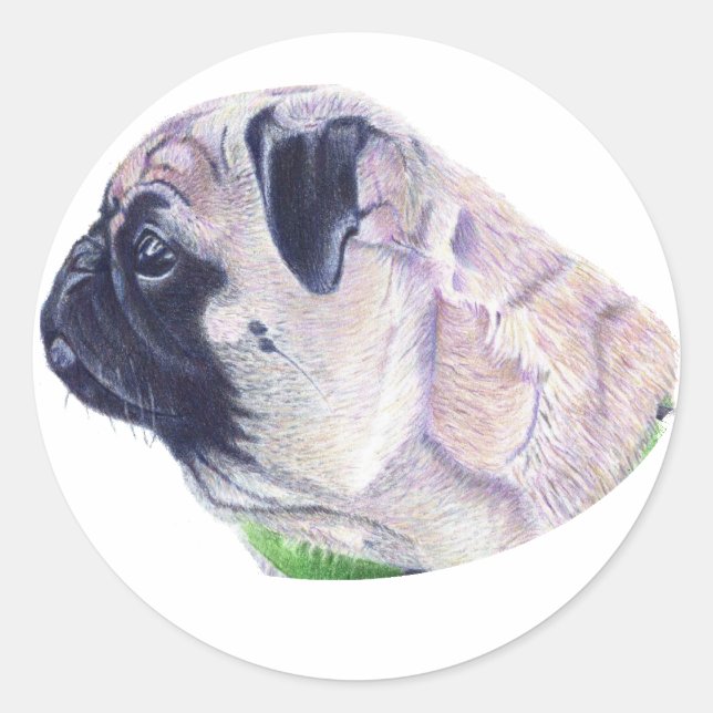 Cute Pug Stickers (Front)