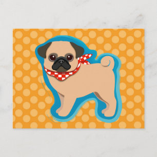 Cute pug with scarf postcard