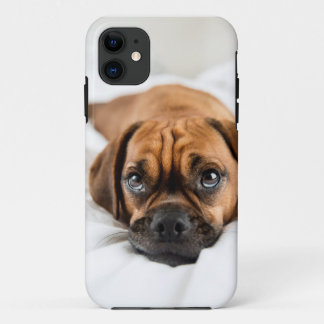 Cute Puggle Dog Case