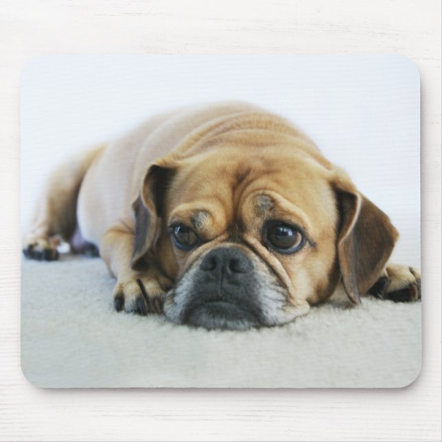 Cute Puggle Mousepad (Front)