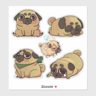 Cute Pugs