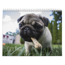 Cute Pugs Dogs Calendar - Customizable
