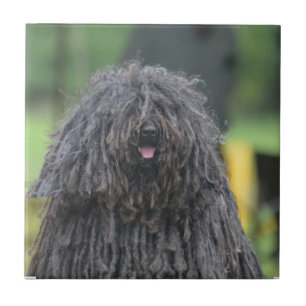 Cute Puli Dog Tile