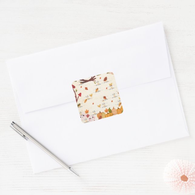 Cute Pumpkin Sticker (Envelope)