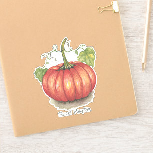 Cute Pumpkin With Vines In Watercolor
