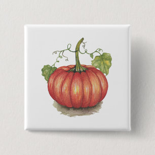 Cute Pumpkin With Vines In Watercolor 2 Inch Square Button