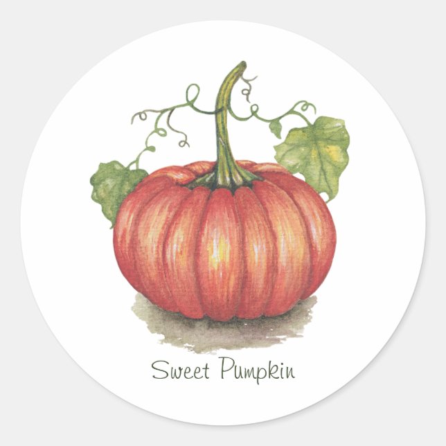 Cute Pumpkin With Vines In Watercolor Classic Round Sticker (Front)