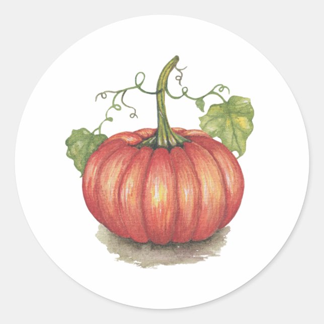 Cute Pumpkin With Vines In Watercolor Classic Round Sticker (Front)