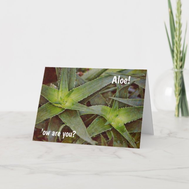 Cute Pun Cactus Aloe Hello Thinking of You Card (Front)