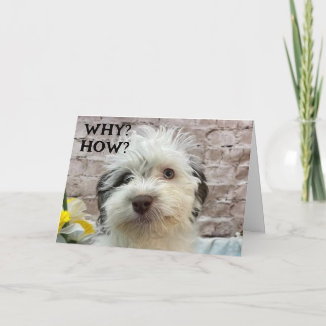 CUTE PUP WISHES A "HAPPY BIRTHDAY" CARD (Front)