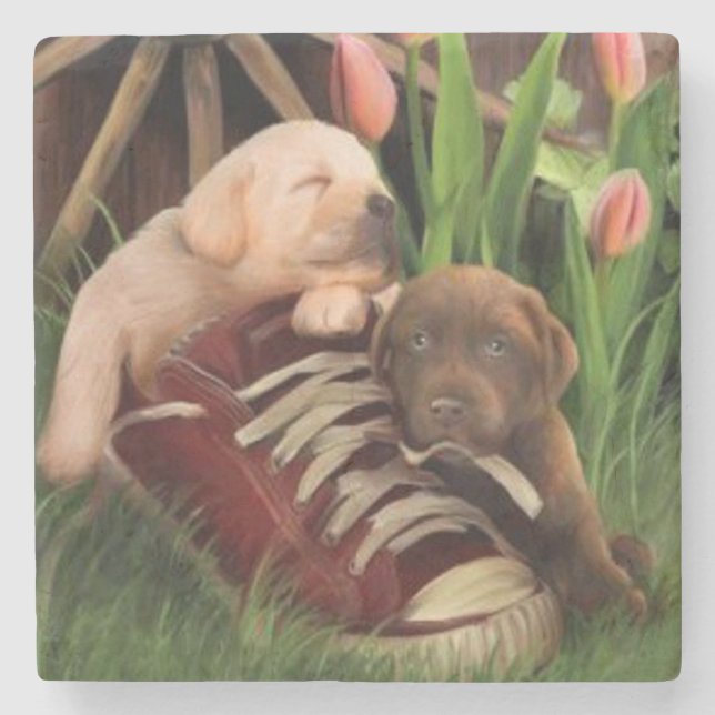 Cute Puppies at Rest Stone Coaster (Front)