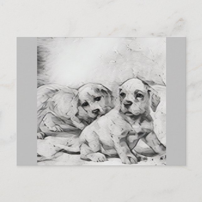 Cute puppies, black and white postcard (Front)