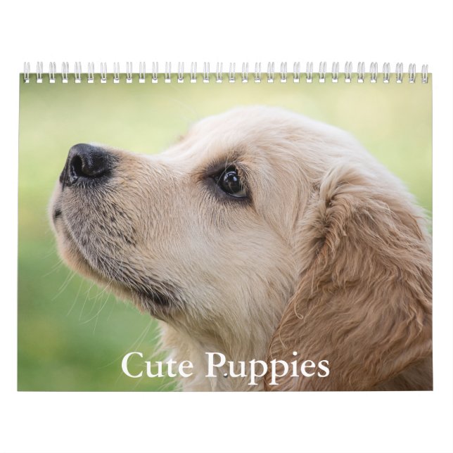 Cute Puppies Calendar (Cover)