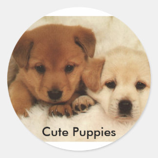 Cute Puppies Classic Round Sticker