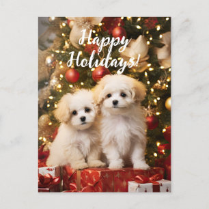 Cute Puppies Dogs Happy Holidays Christmas Postcard