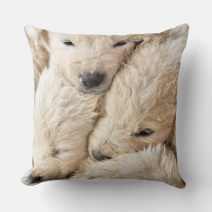 Cute Puppies Happy Valentine's day Throw Pillow