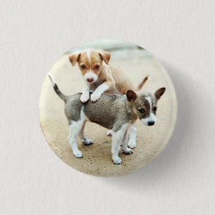 Cute Puppies Playing on Beach 1 Inch Round Button