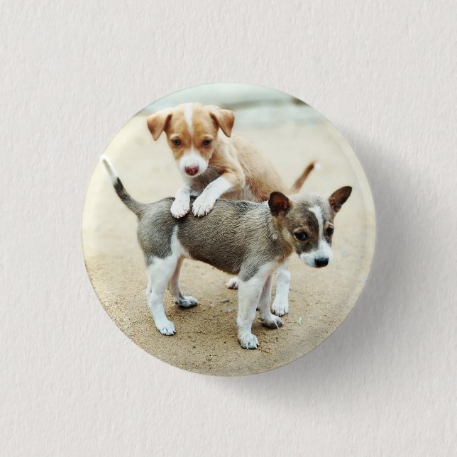 Cute Puppies Playing on Beach 1 Inch Round Button (Front)