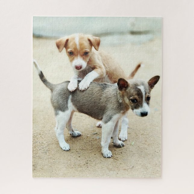 Cute Puppies Playing on Beach Jigsaw Puzzle (Vertical)