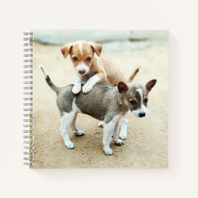 Cute Puppies Playing on Beach Notebook (Front)
