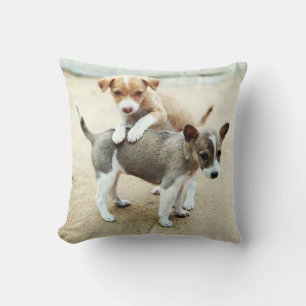 Cute Puppies Playing on Beach Throw Pillow
