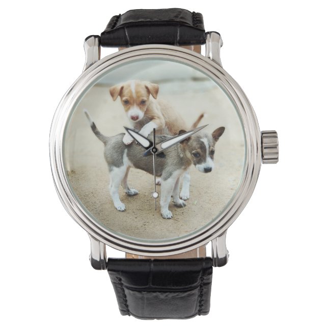 Cute Puppies Playing on Beach Watch (Front)