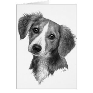 Cute Puppy!