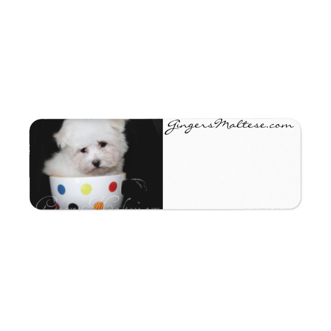 Cute Puppy Address Labels (Front)