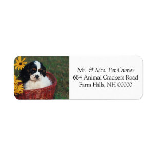Cute Puppy Basket Return Address Mail Stickers