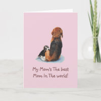 Cute puppy beagle cuddling mom dog with verse