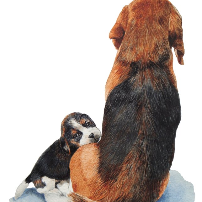Cute puppy beagle with mum dog (Creator Uploaded)