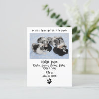 Cute Puppy Birth Announcement