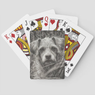 Cute Puppy Black and Whie Portrait Photograph Playing Cards