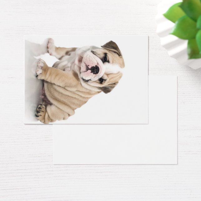 Cute Puppy Bulldog Sad (Desk)