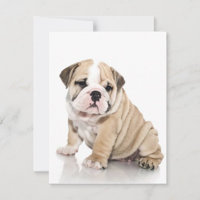 Cute Puppy Bulldog Sad Invitation (Front)