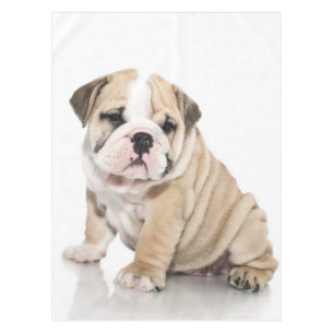 Cute Puppy Bulldog Sad Tablecloth