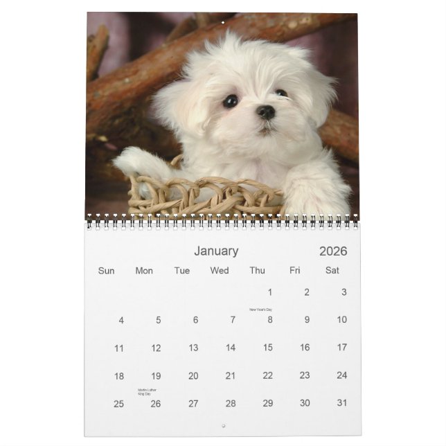 Cute Puppy Calendar (Jan 2026)