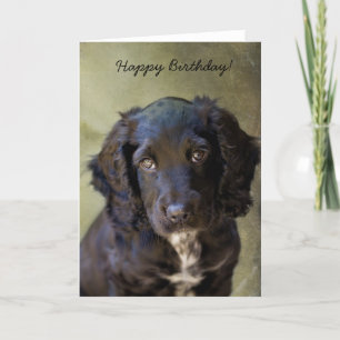 Cute Puppy card