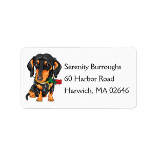 Cute Puppy Cartoon Dog Lover Dachshund Label