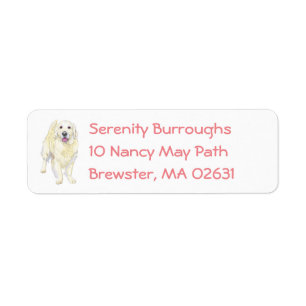 Cute Puppy Cartoon Dog Mom Golden Retriever