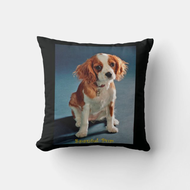 Cute Puppy Charles ~ Cavalier King Spaniel ~ & ~ Throw Pillow (Front)