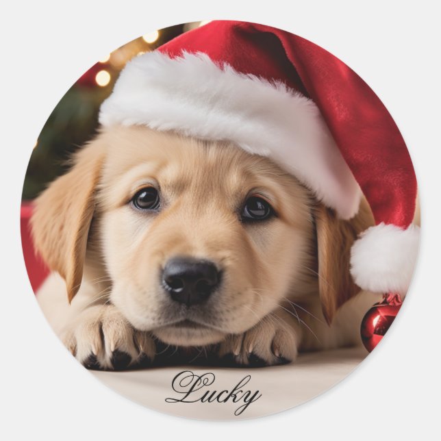 Cute puppy. Christmas Retriever puppy Classic Round Sticker (Front)