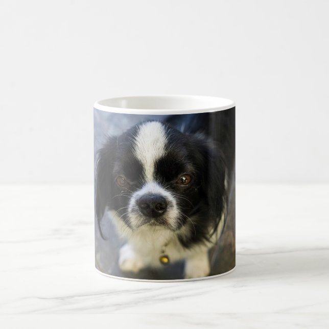 cute puppy coffee mug (Center)