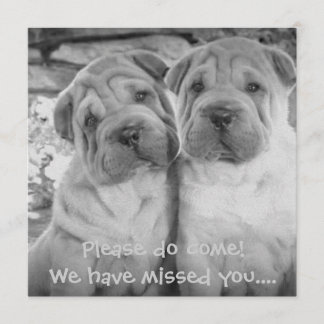 Cute Puppy Couple Personalized Party Invites