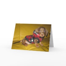 Cute puppy dachshund blank greeting card