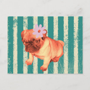 cute puppy daisy green stripes sad pug postcard