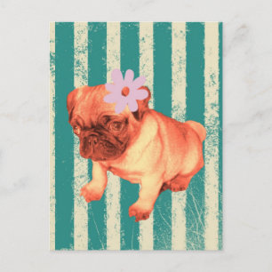 cute puppy daisy green stripes sad pug postcard