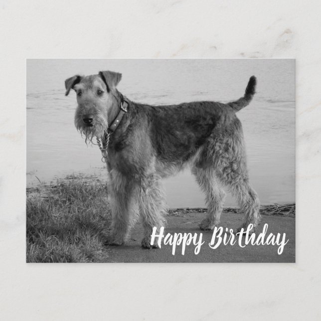Cute Puppy Dog Airedale Terrier Happy Birthday Postcard (Front)
