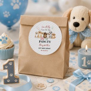 Cute Puppy Dog Boy 1st Birthday   Pawty Time First Classic Round Sticker