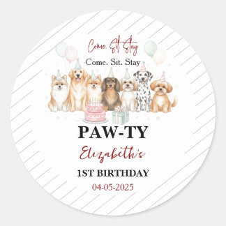 Cute Puppy Dog Boy 1st Birthday | Pawty Time First Classic Round Sticker